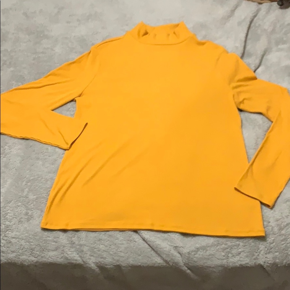 Long sleeve, tight fitting turtleneck